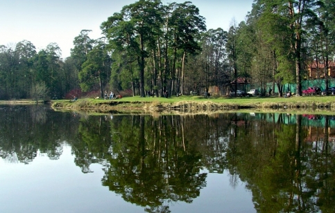 Берег Серебряного бора