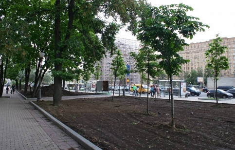 Кутузовский проспект