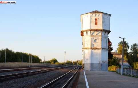 Фото: Фотолинии