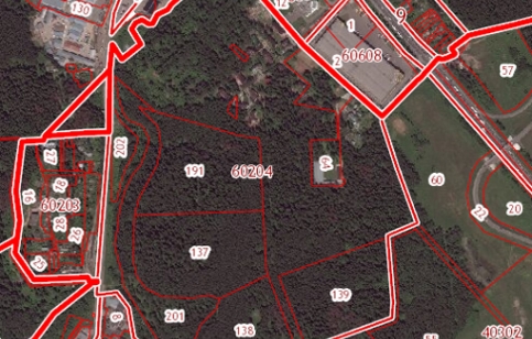 Сходненский лес на кадастровой карте. Скриншот: "Новые известия"