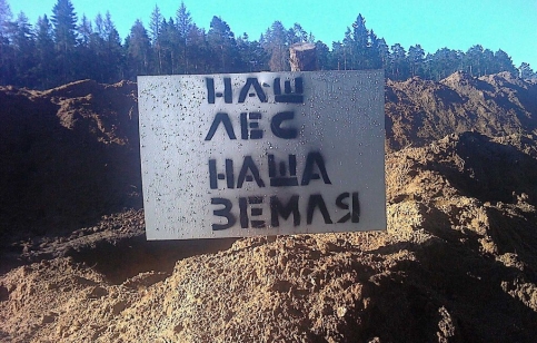 Цаговский лес. Июнь 2012. Фото: "Фронде ТВ"