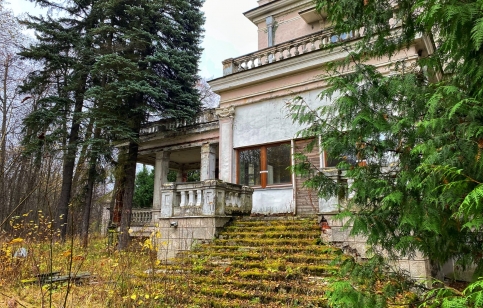 Фото: Андрей Новичков