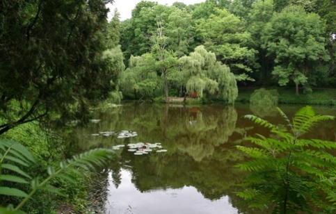 Мневниковская пойма