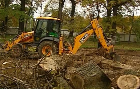 Кадр: "Вести-Москва"