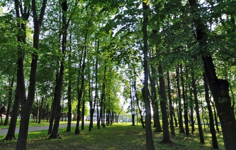 Фото: "Яндекс-карты"