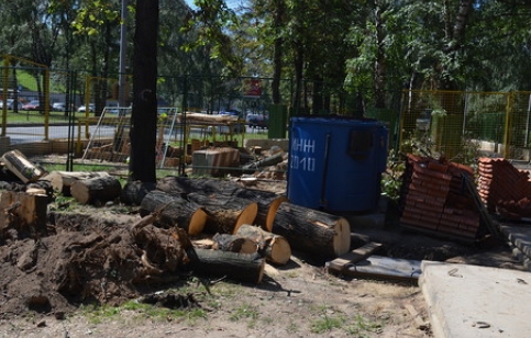 Во вторник в Москве вдоль Мичуринского проспекта шли работы по вырубке яблоневой аллее. Фото "Газета.Ру"