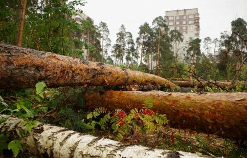 Фото с сайта партии "Яблоко"